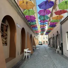 Kolorowe parasole nad brukowaną uliczką tworzą magiczną atmosferę, idealną na weekendowe atrakcje w Tarnowie.