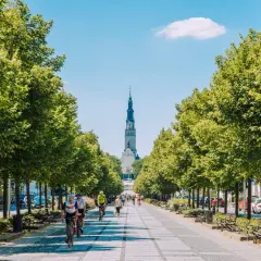 Aleja z drzewami prowadzi do Jasnej Góry. Idealne miejsce na weekendowe atrakcje w Częstochowie, gdzie można pojeździć rowerem lub pospacerować.
