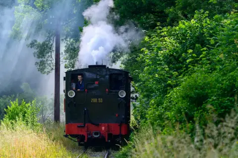 Parowóz z numerem 298.53 mknie przez zielony las, wypuszczając kłęby białego dymu. Maszynista uśmiecha się z kabiny.