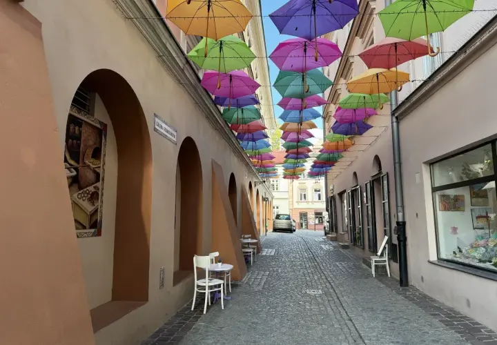 Kolorowe parasole nad brukowaną uliczką tworzą magiczną atmosferę, idealną na weekendowe atrakcje w Tarnowie.