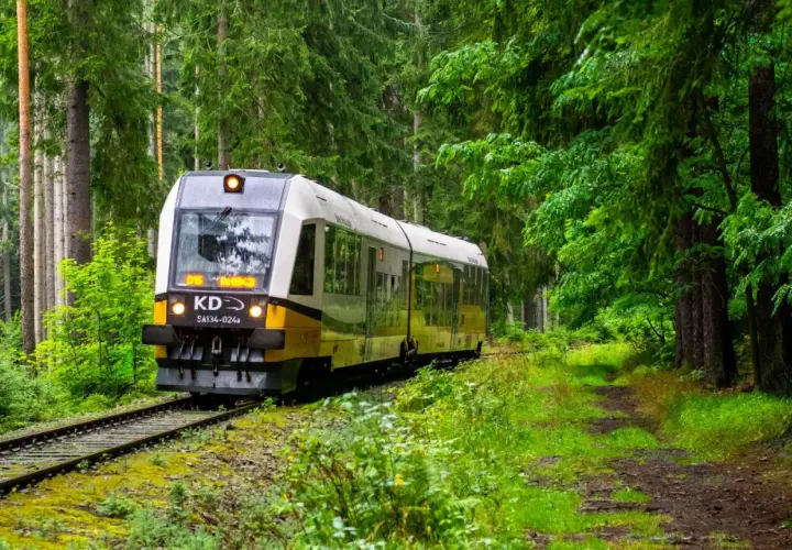 Pociąg KD jedzie przez gęsty las. Sprawdź karpacz-jelenia góra rozkład jazdy, by zaplanować podróż.