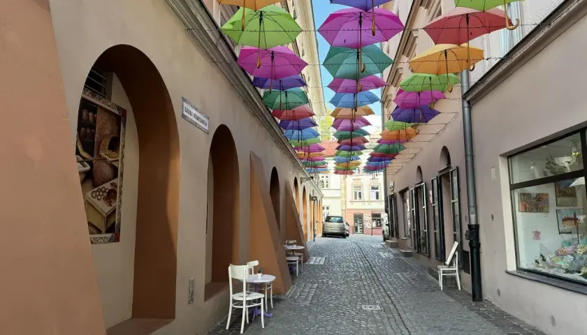 Kolorowe parasole nad brukowaną uliczką tworzą magiczną atmosferę, idealną na weekendowe atrakcje w Tarnowie.