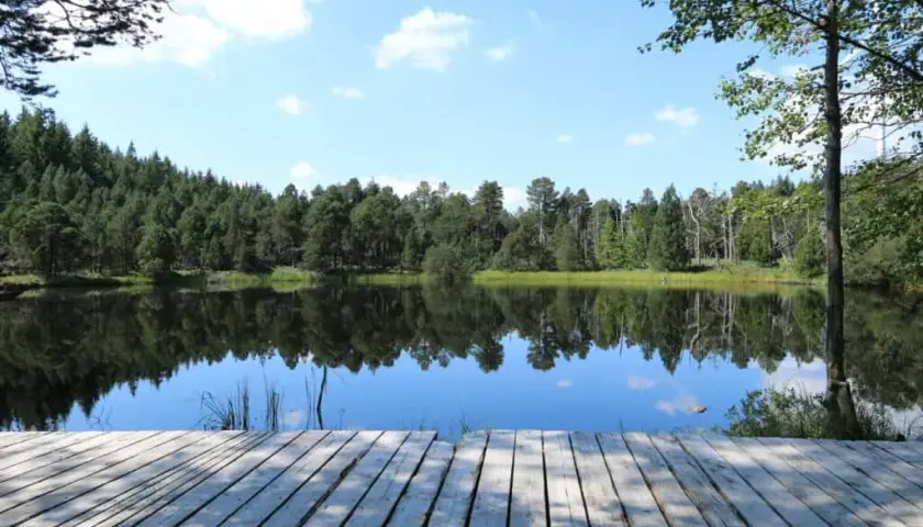 Schwarzwald: najpiękniejsze miejsca i praktyczne wskazówki na podróż