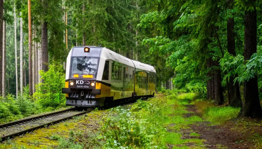 Pociąg KD jedzie przez gęsty las. Sprawdź karpacz-jelenia góra rozkład jazdy, by zaplanować podróż.