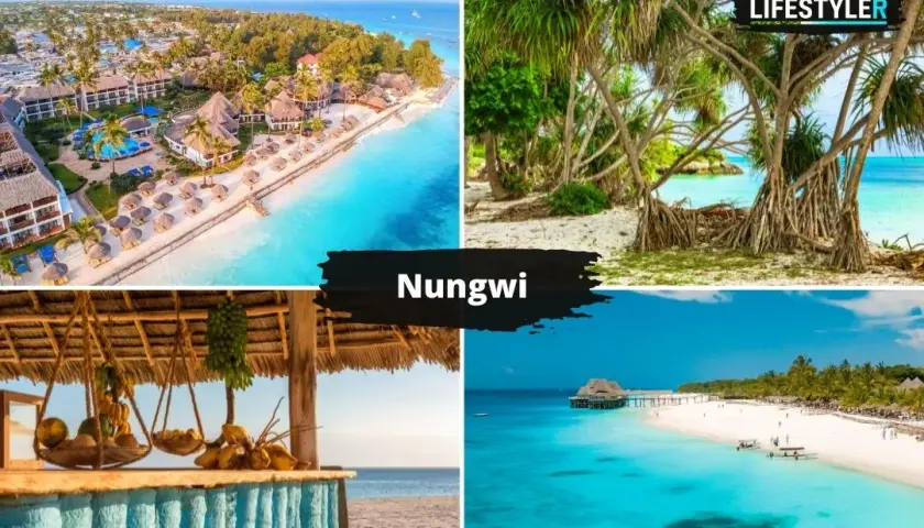 Zanzibar: Co zobaczyć? Najpiękniejsze plaże i atrakcje wyspy