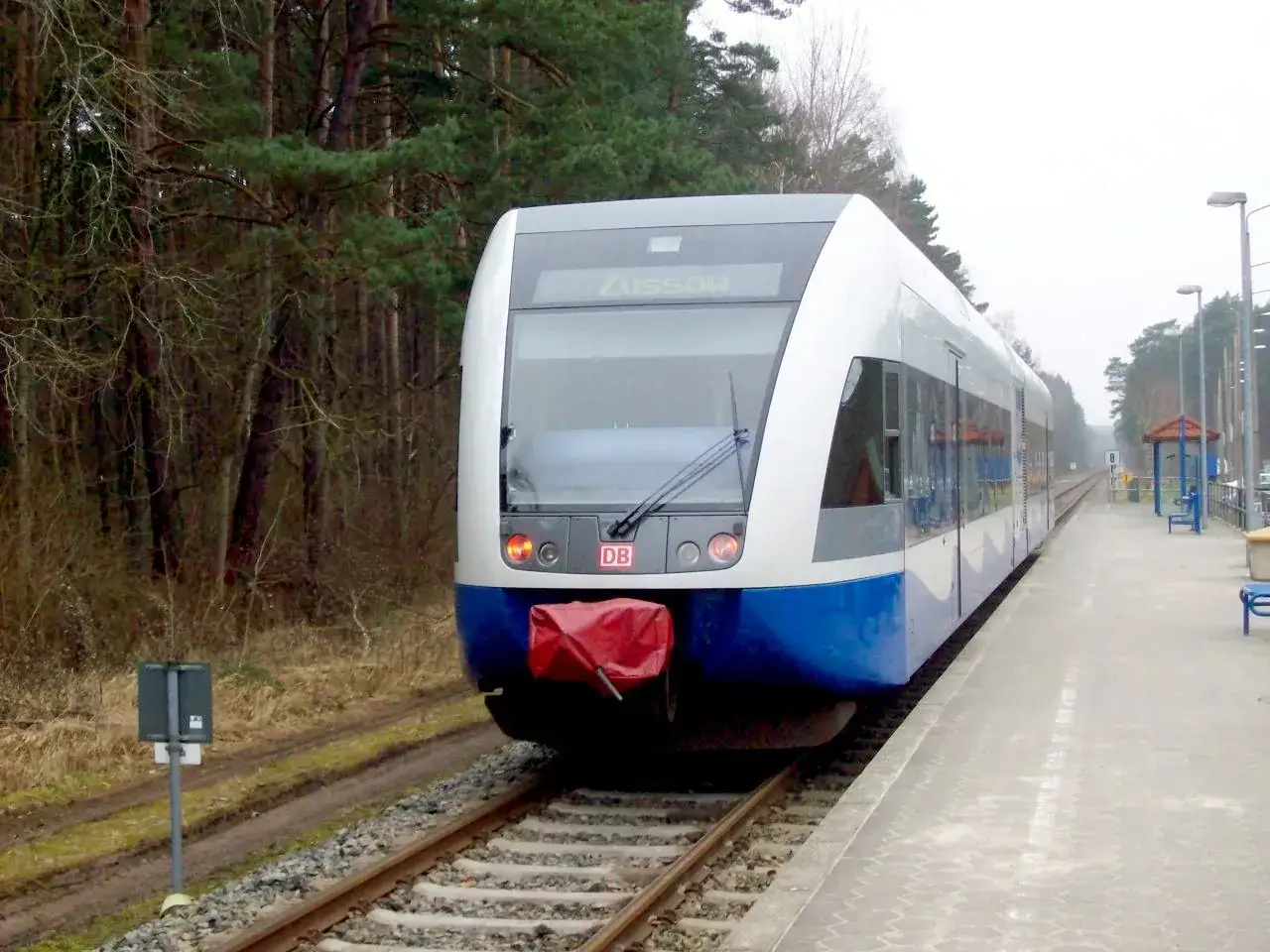 Pociąg DB na trasie Świnoujście Ahlbeck stoi na peronie, otoczony lasem.