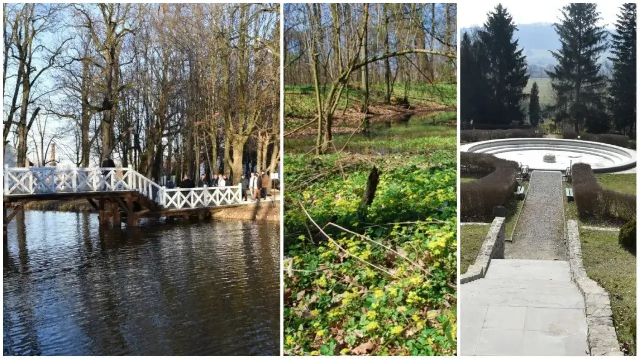 Tarnów atrakcje na weekend: malowniczy mostek nad wodą, leśna polana z żółtymi kwiatami i fontanna w parku.