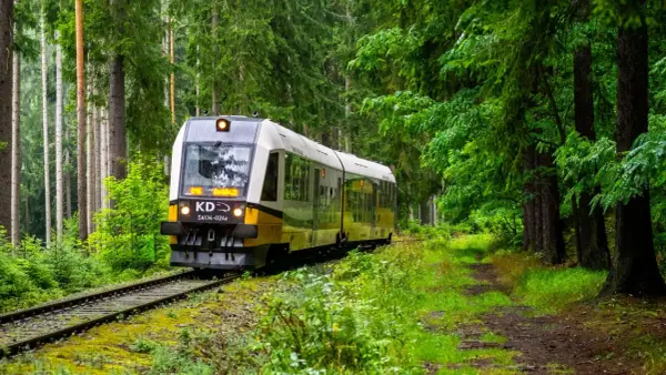Pociąg KD jedzie przez gęsty las. Sprawdź karpacz-jelenia góra rozkład jazdy, by zaplanować podróż.